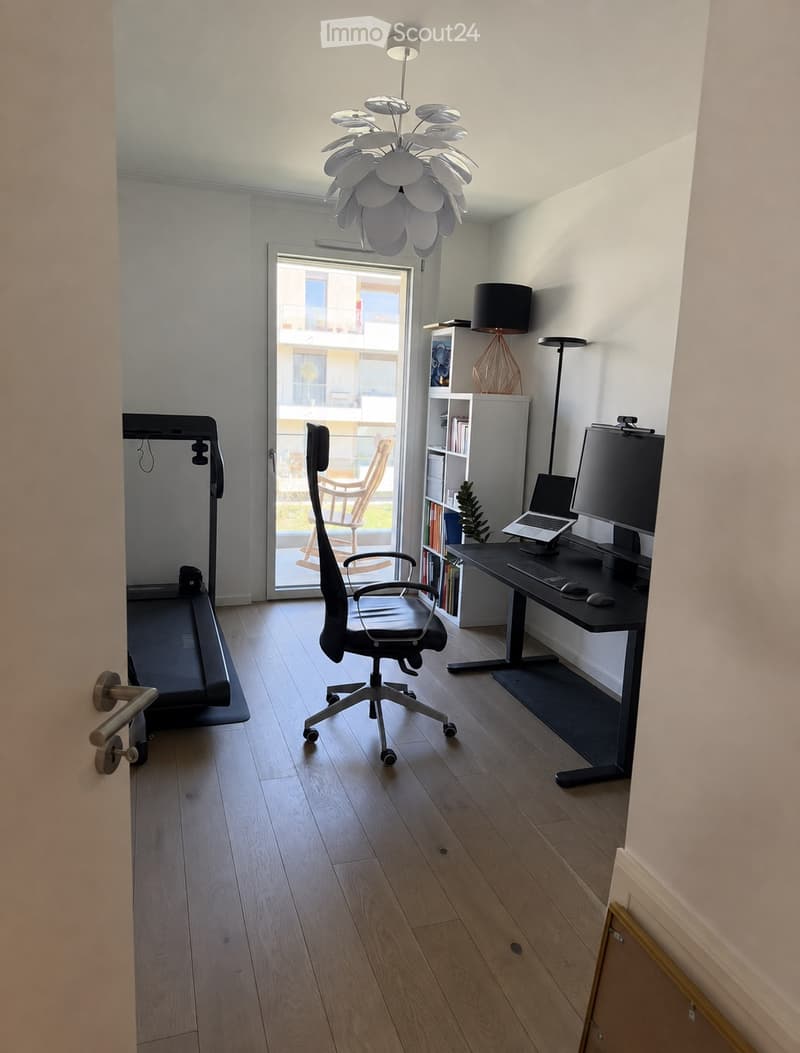 Magnifico appartamento di 5 locali con 120 m² e terrazza - Parc des Crêts (7)
