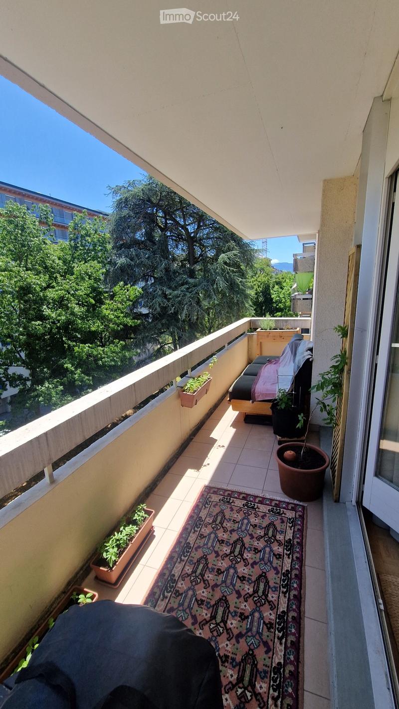 Reprise de bail Appartement 3p Charmilles 15 sept - 31 dec. (5)