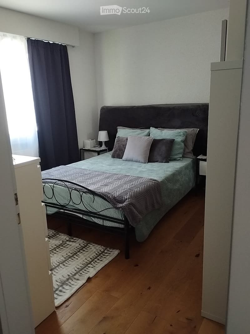 Charmant appartement 3 pièces 1/2 (3)