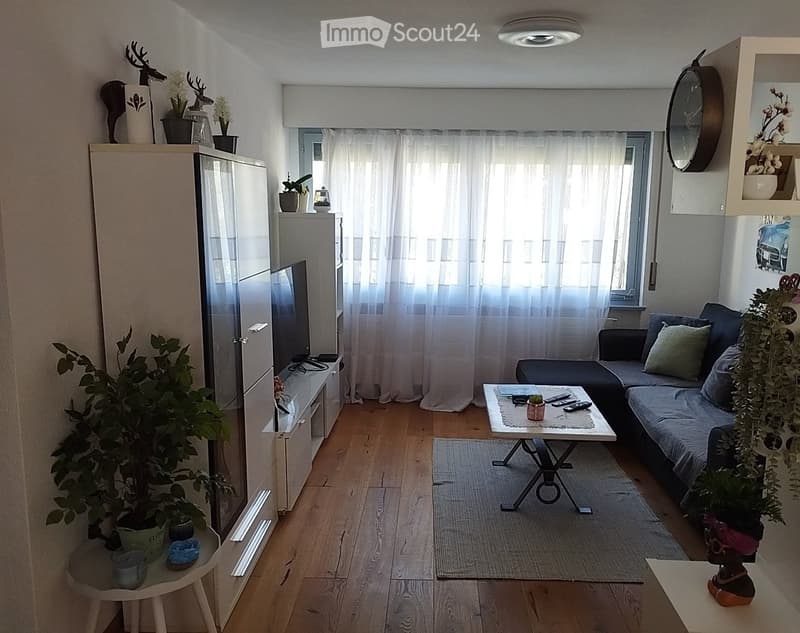 Charmant appartement 3 pièces 1/2 (4)