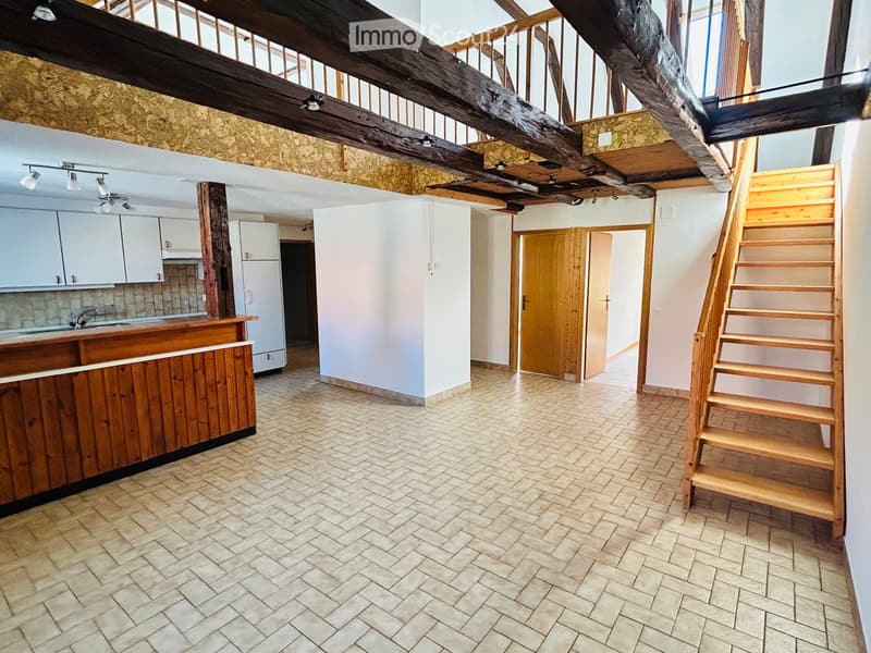 Superbe duplex de 130 m², 4,5 pièces (2)