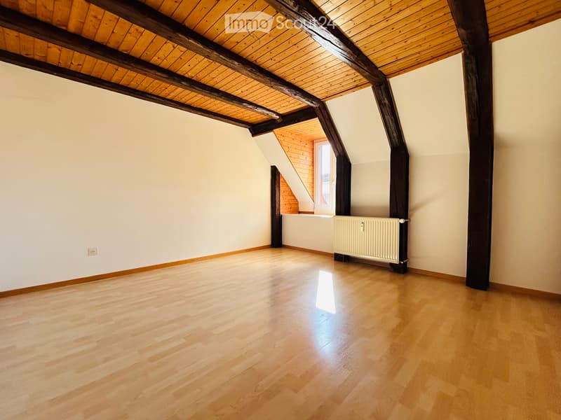 Superbe duplex de 130 m², 4,5 pièces (4)