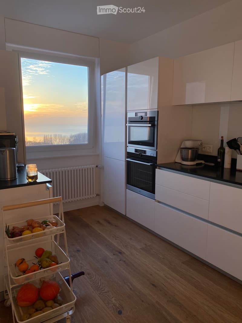 Superbe attique, vue lac panoramique, balcon, parking (3)