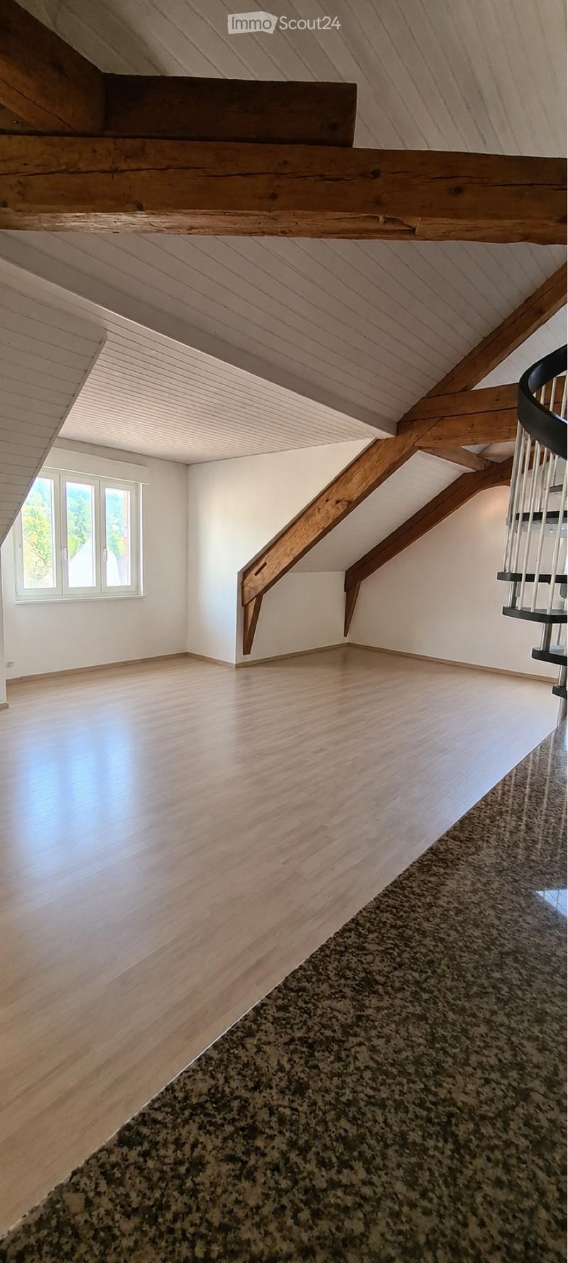 Magnificent 5.5-room attic duplex on the top floor (2)