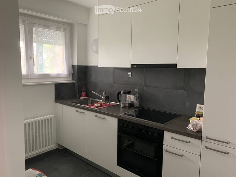 Sublet apartment Epalinges (5)