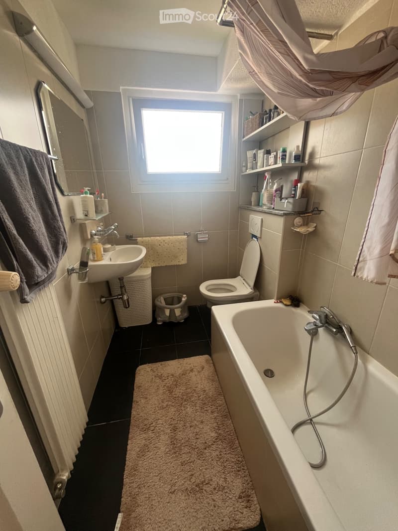 Wohnung zur Miete (3)