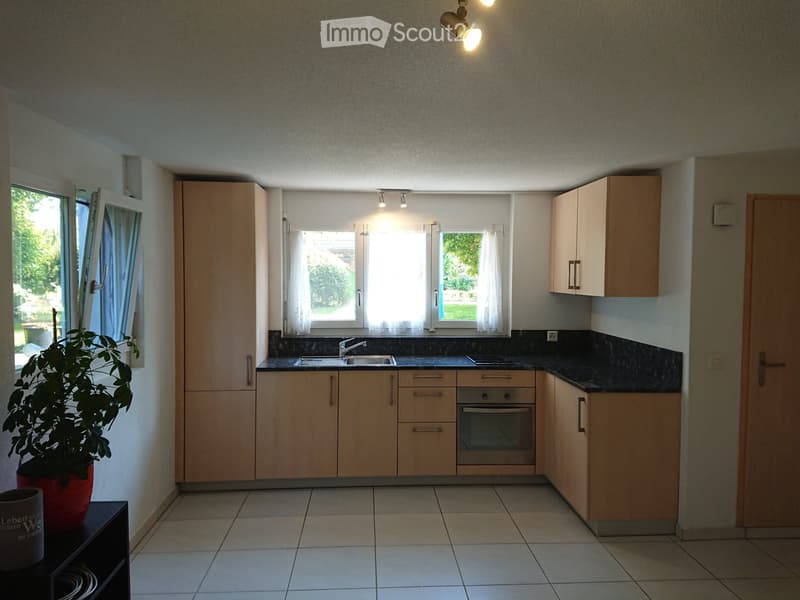 Studio Wohnung 1.5 30m2 Eschenbach Inwil Emmen Perlen (1)