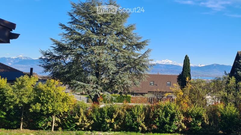Belle maison récemment rénovée de 8.5 pcs avec grand jardin (2)