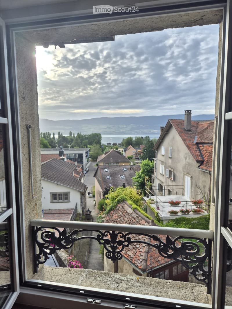 Charming old town apartment with lake view (5)