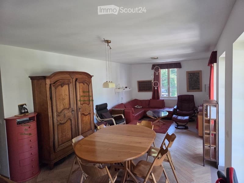 Meublé de charme / charming furnished flat, 70m2 (3)