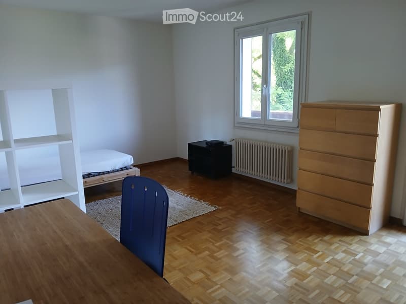 Jolie chambre à loué meublé ou non (2)