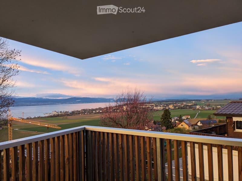 Splendide appartement 2.5 pièces avec vue lac (1)