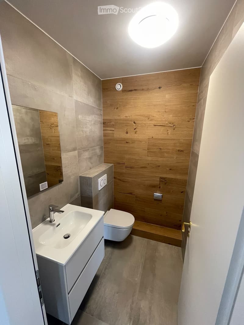 À louer beau 4,5 pièces (4)