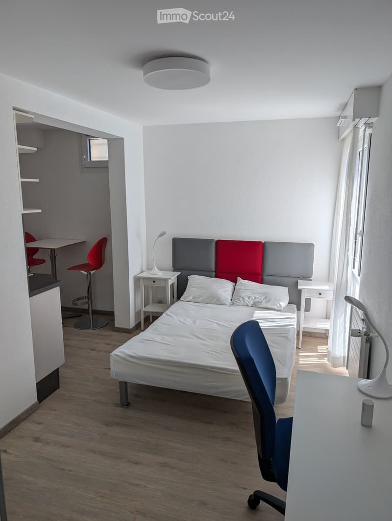 Studio rénové à Cormondrèche dans maison familiale (1)
