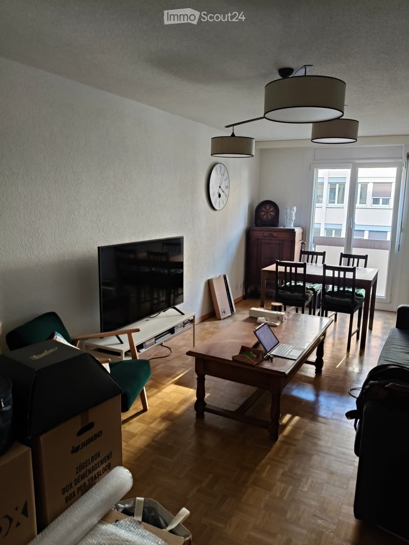 Location Appartement Plainpalais - Bastion - 4 pièces (1)