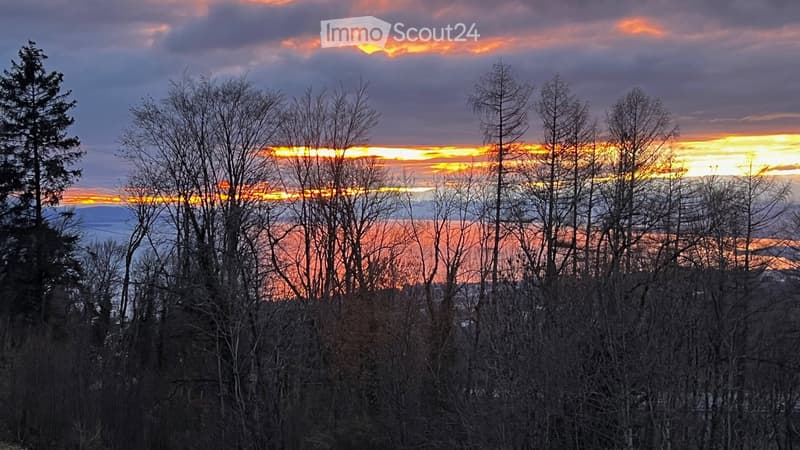 Appartement meublé, vue forêt à Belmont-sur-Lausanne (1)