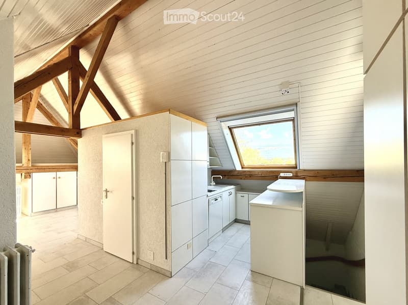 Appartement sous les toits avec accès jardin (3)
