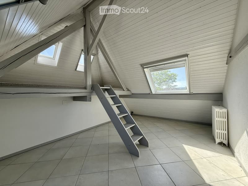 Appartement sous les toits avec accès jardin (2)