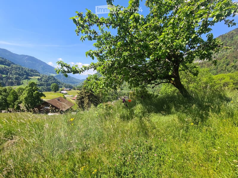 SKI & MONTAGNE  ALPES VAUDOISES, LOGEMENT RÉNOVÉ (4)