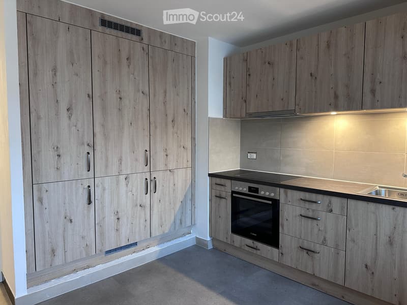 Grand appartement 5 pièces entièrement rénové (2)