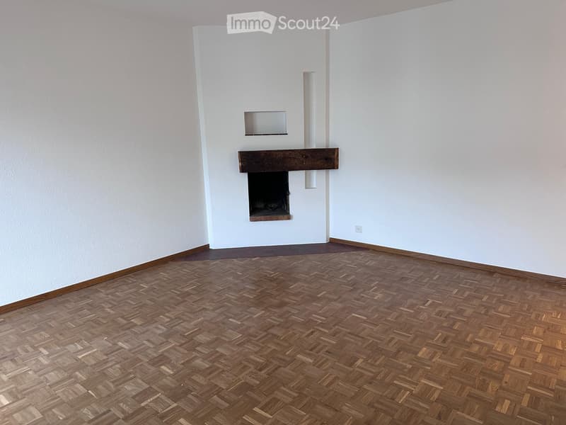 Grand appartement 5 pièces entièrement rénové (5)