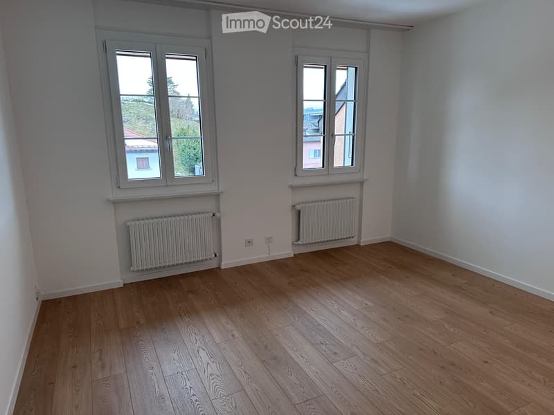 Grand appartement 5 pièces entièrement rénové (1)