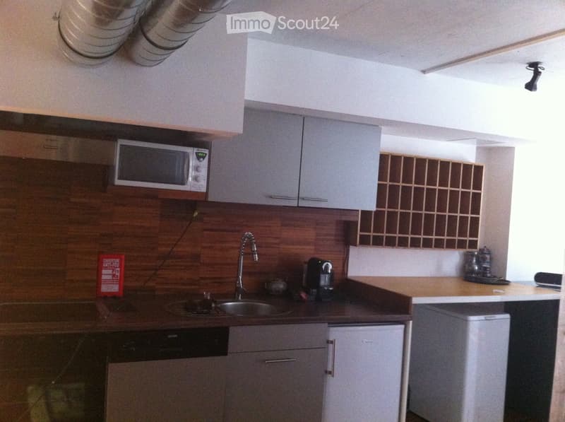 LOFT au Rez de Chaussée (3)