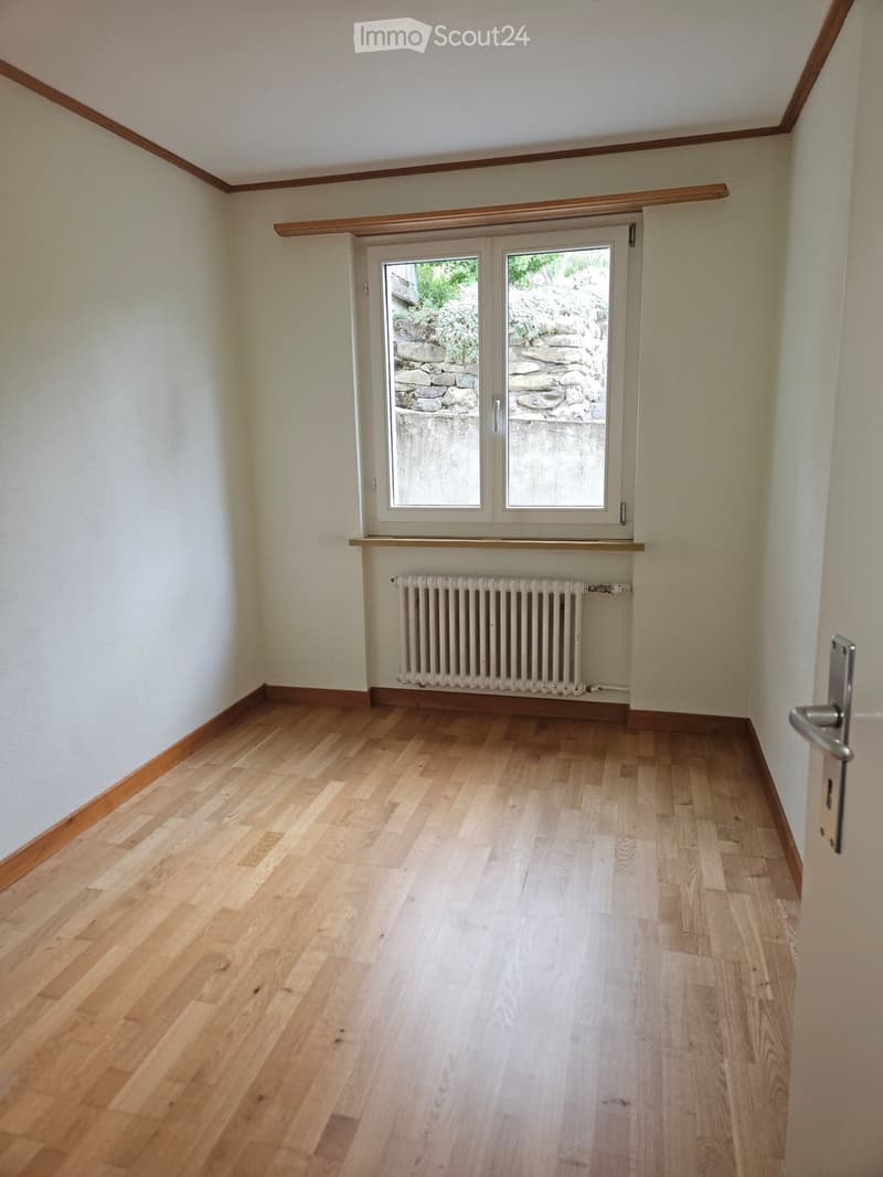 Wohnen mit fantastischer Aus- und Weitsicht bis zum Untersee (5)