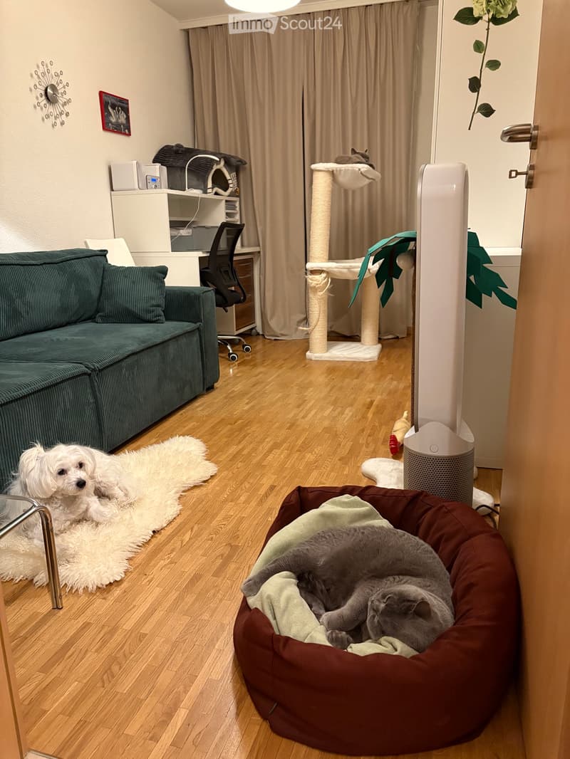 Chambre à louer dans un trois pièces avec chien et chats (5)