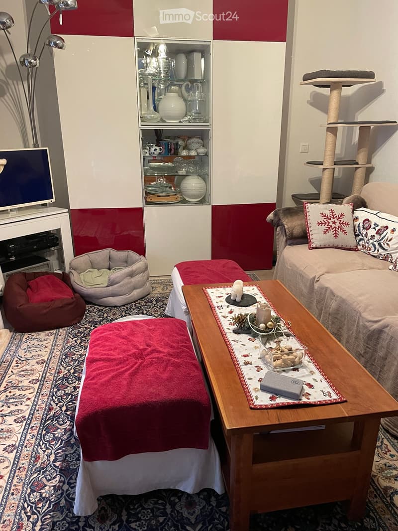 Chambre à louer dans un trois pièces avec chien et chats (3)