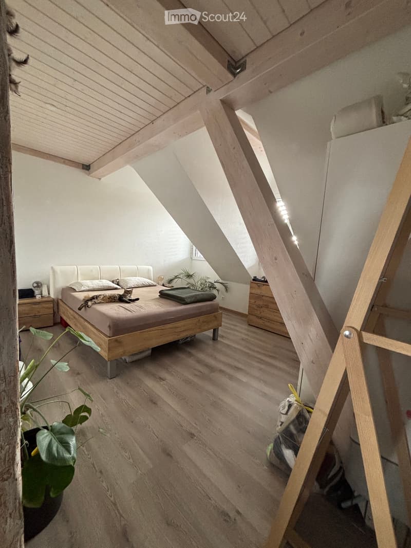 Charmant appartement de 3,5 pièces à Chapelle-sur-Moudon (4)