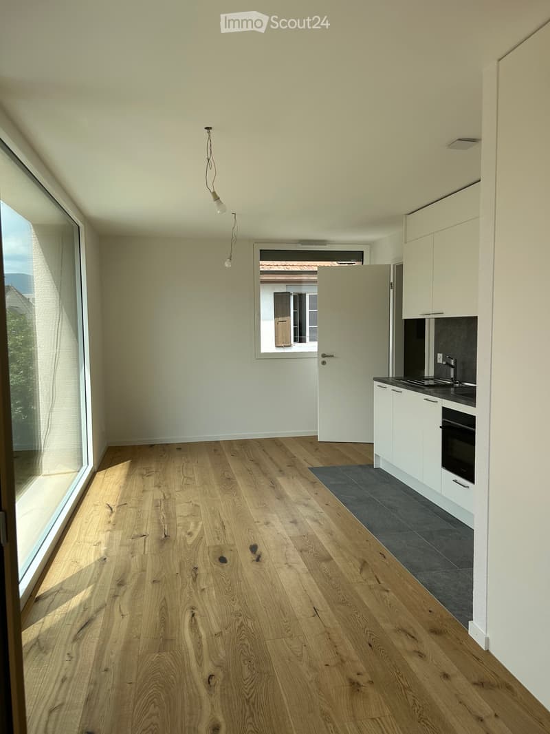 Studio neuf à louer le 1er septembre (1)