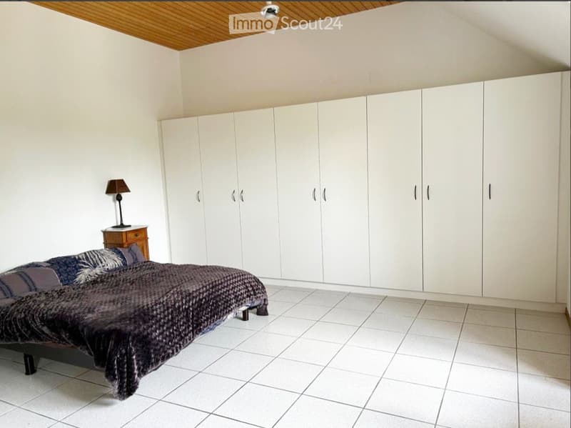 Appartement spacieux dans maison avec cachet à colombier (1)