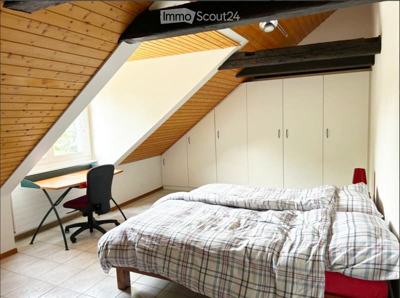 Appartement spacieux dans maison avec cachet à colombier (4)