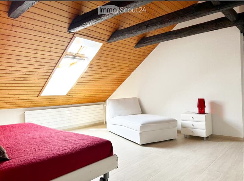 Appartement spacieux dans maison avec cachet à colombier (3)