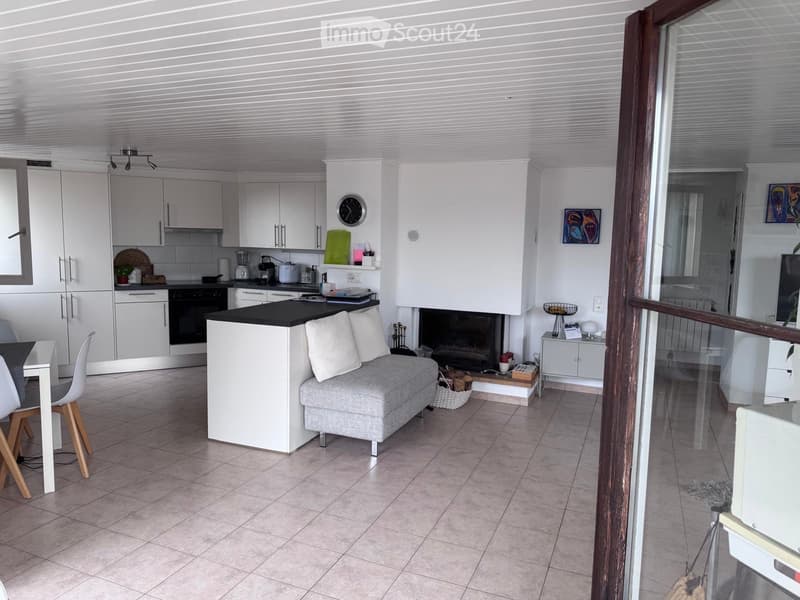 Magnifique appartement traversant (1)