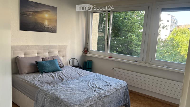 Appartement a louer CHAMPEL (3)
