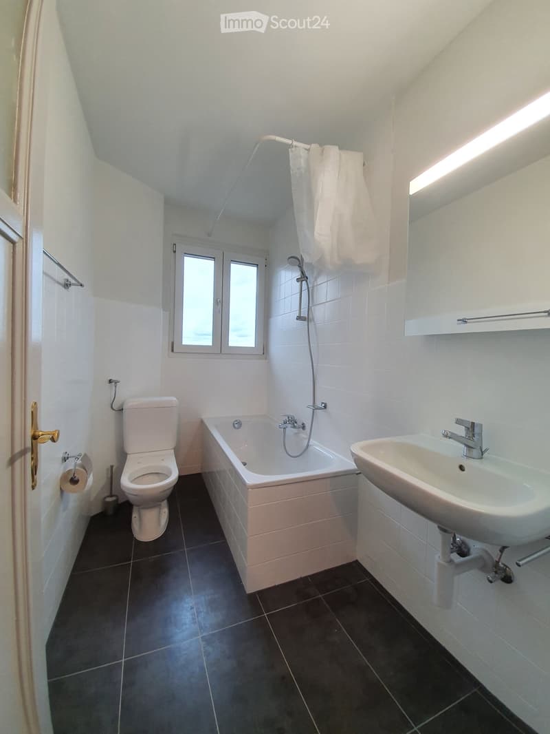 Vue lac exceptionnelle 56m² (2)