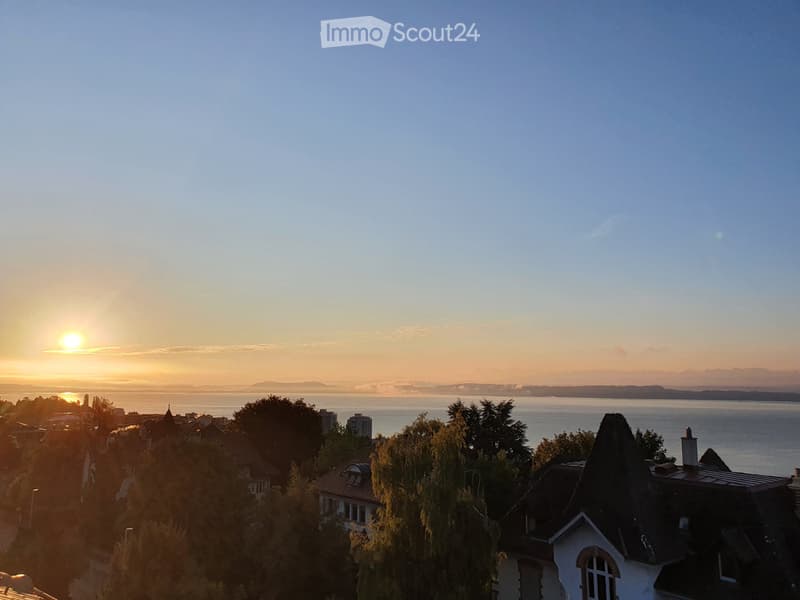 Vue lac exceptionnelle 56m² (1)
