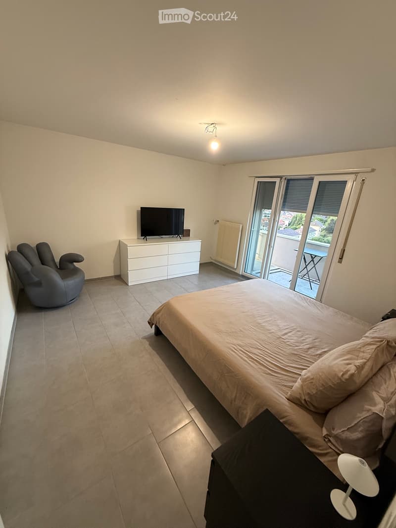 Appartement 1,5 pièces rénové et bien situé avec balcon (1)