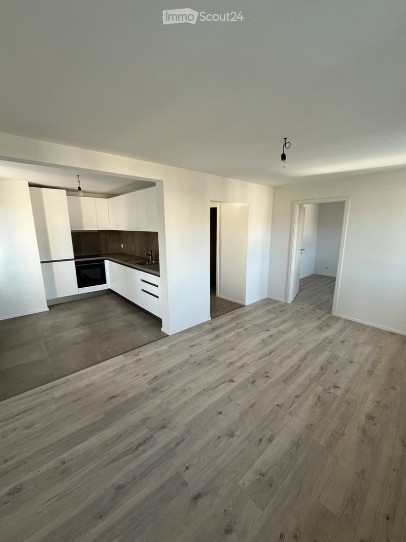 Bel appartement de 3.5 pièces avec garage (1)