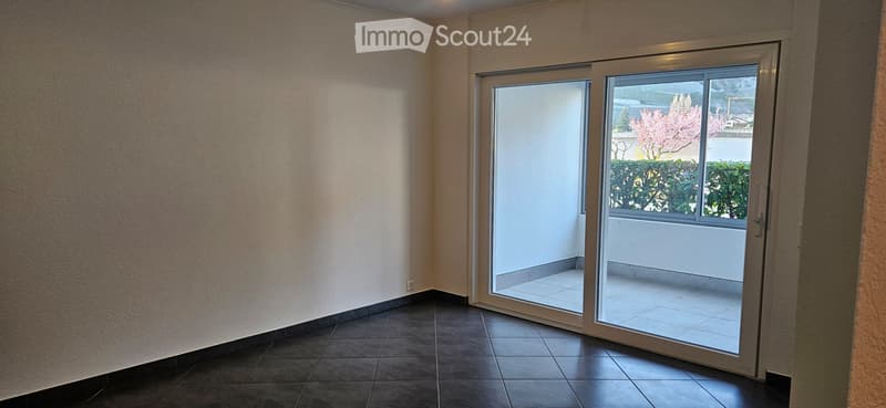 Saillon Les Bains, magnifique appartement avec 1 chambre (4)