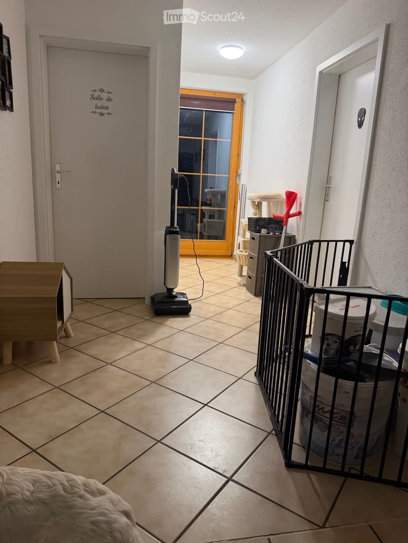 À louer magnifique appartement 3 chambres avec terrasse (2)