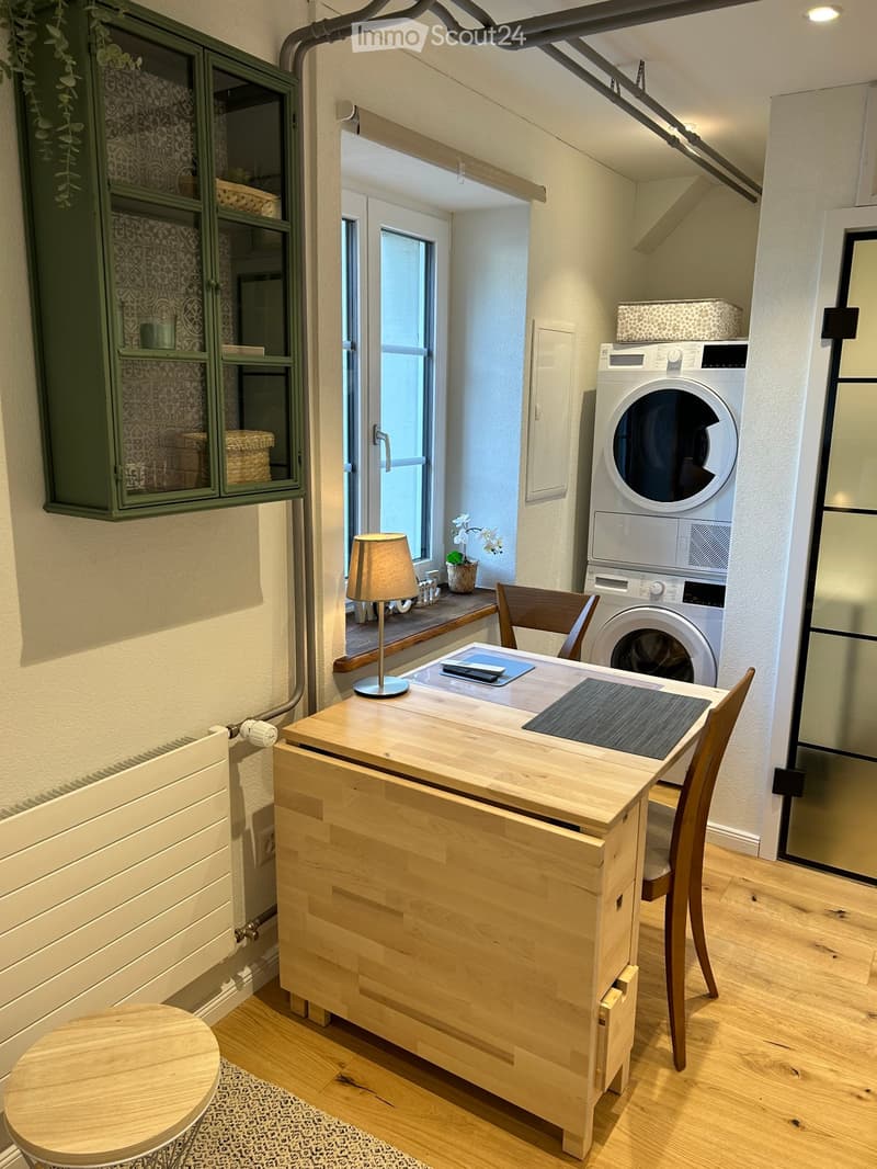 1.5 Zimmer Studio Möbliert alles dabei! Internet, TV, NK (6)