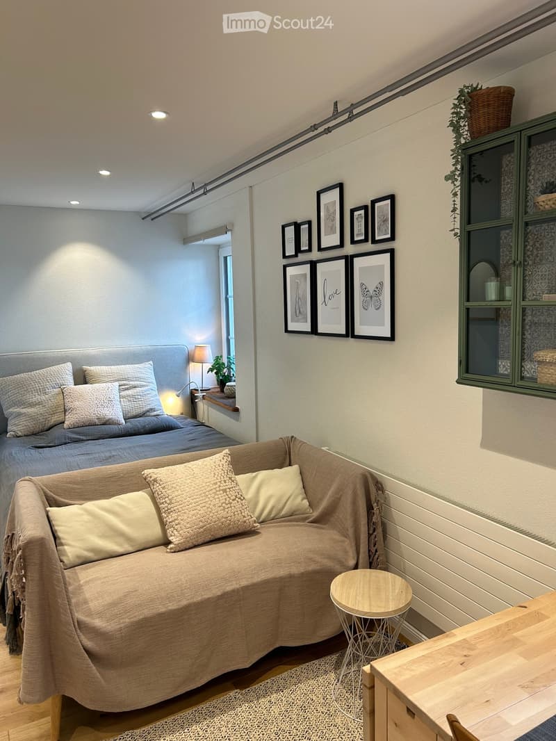 1.5 Zimmer Studio Möbliert alles dabei! Internet, TV, NK (1)