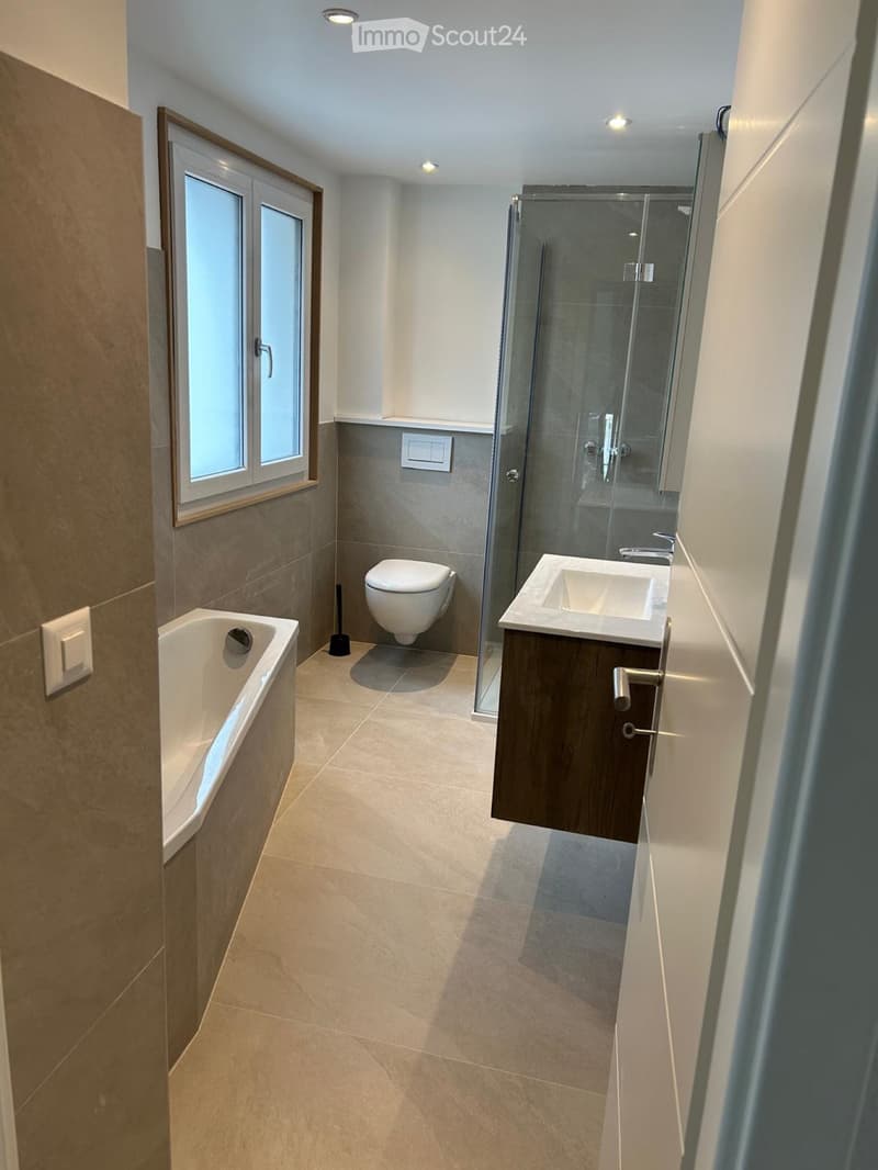 Magnifique appartement 4,5 pièces neuf (2)