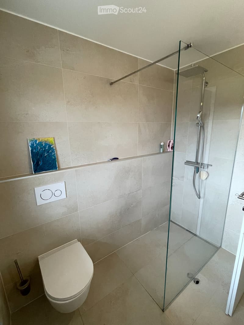 Splendide appartement de 5.5 pièces (9)