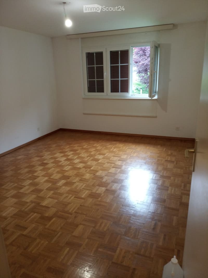 Vue lac 3.5 p à louer Blonay (4)