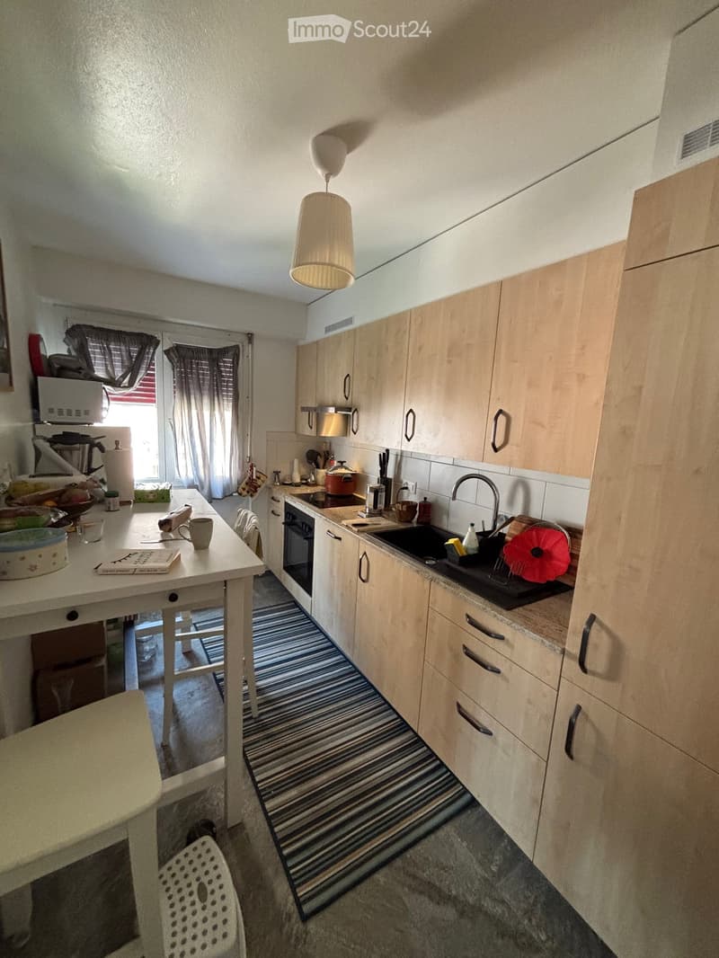 4.5p apartment near Lausanne train station (reprise de bail) (2)