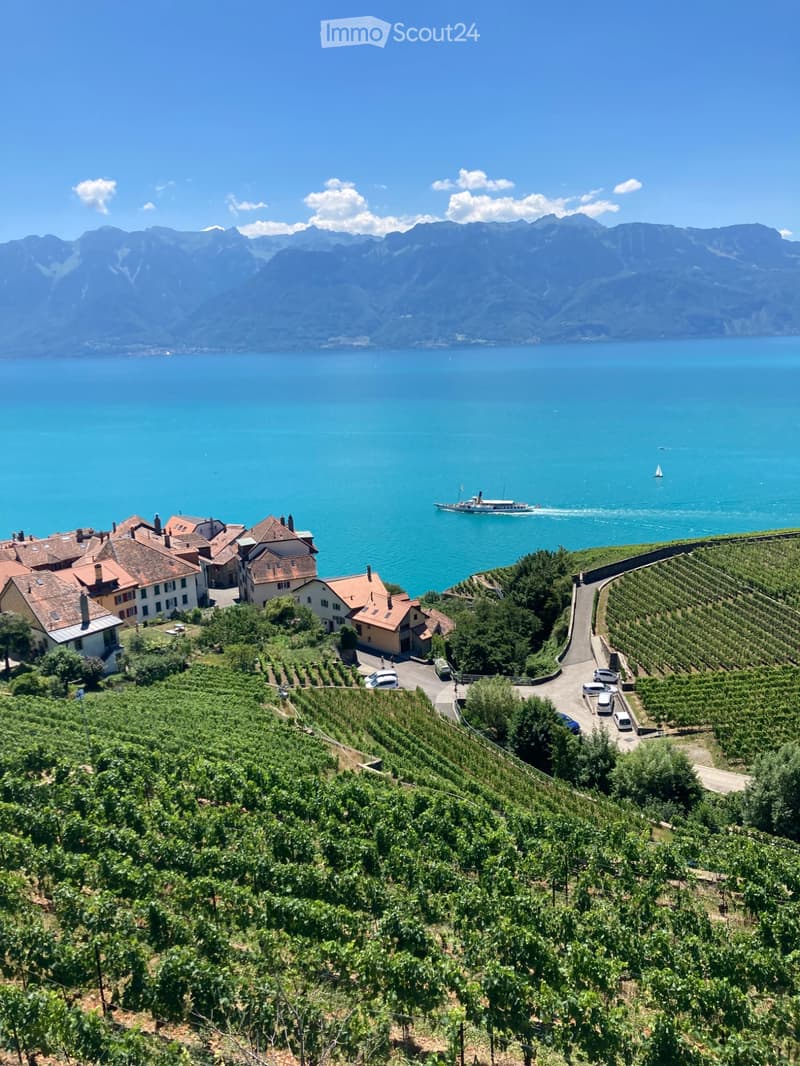 appart meublé 3,5 pièces Rivaz (Lavaux) Novembre à février (2)